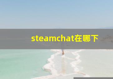 steamchat在哪下