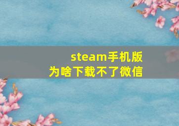 steam手机版为啥下载不了微信