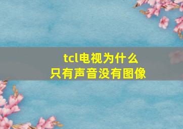 tcl电视为什么只有声音没有图像