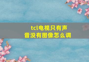 tcl电视只有声音没有图像怎么调