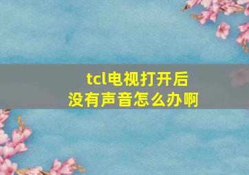 tcl电视打开后没有声音怎么办啊