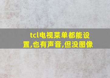 tcl电视菜单都能设置,也有声音,但没图像