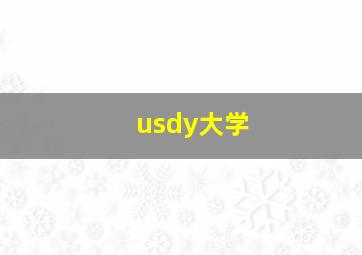 usdy大学