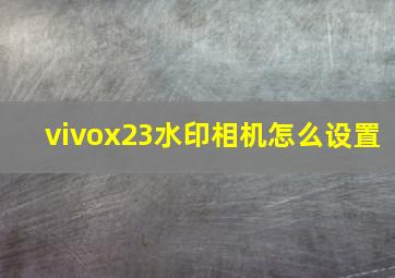 vivox23水印相机怎么设置