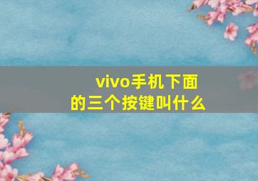 vivo手机下面的三个按键叫什么