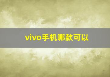 vivo手机哪款可以