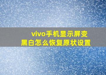 vivo手机显示屏变黑白怎么恢复原状设置