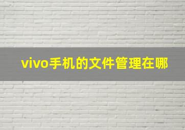 vivo手机的文件管理在哪