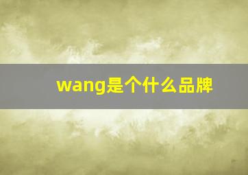 wang是个什么品牌