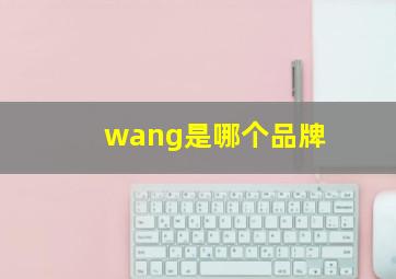 wang是哪个品牌