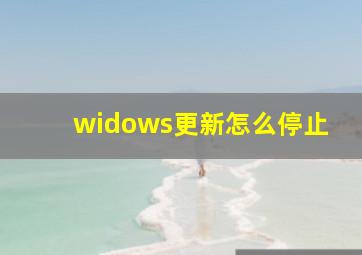 widows更新怎么停止