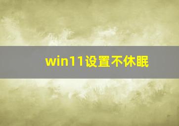 win11设置不休眠