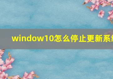 window10怎么停止更新系统