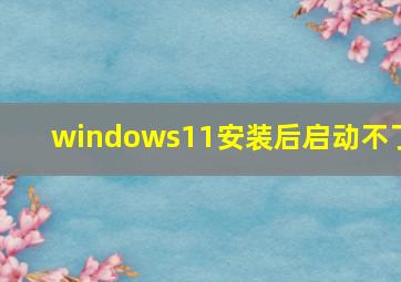 windows11安装后启动不了