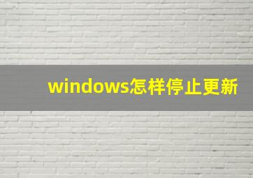 windows怎样停止更新