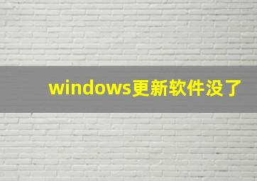 windows更新软件没了