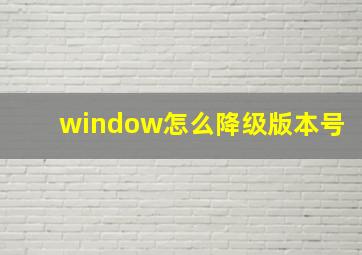 window怎么降级版本号