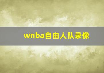 wnba自由人队录像