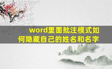 word里面批注模式如何隐藏自己的姓名和名字