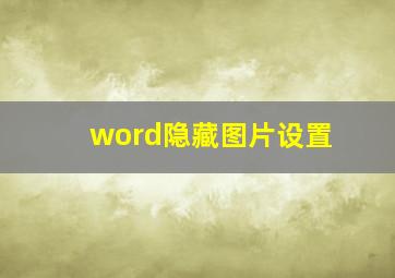 word隐藏图片设置