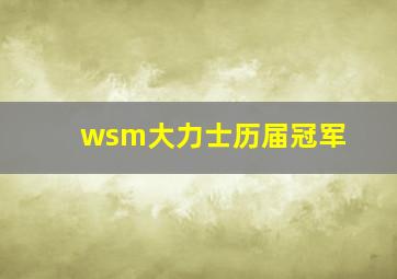 wsm大力士历届冠军