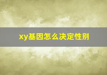 xy基因怎么决定性别