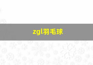 zgl羽毛球