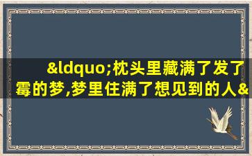 “枕头里藏满了发了霉的梦,梦里住满了想见到的人”