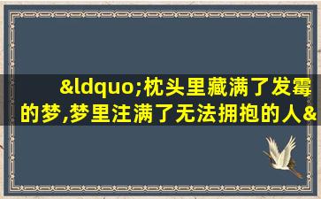 “枕头里藏满了发霉的梦,梦里注满了无法拥抱的人”