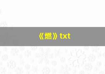 《燃》txt