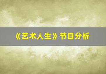 《艺术人生》节目分析