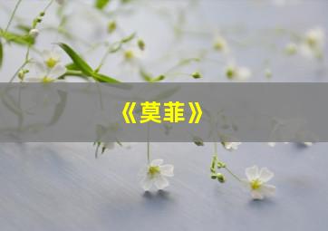 《莫菲》