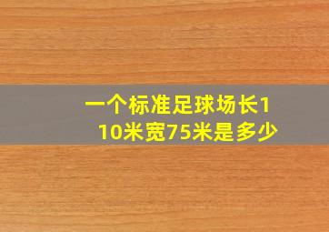 一个标准足球场长110米宽75米是多少