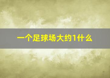 一个足球场大约1什么