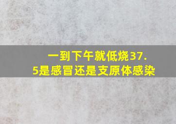 一到下午就低烧37.5是感冒还是支原体感染