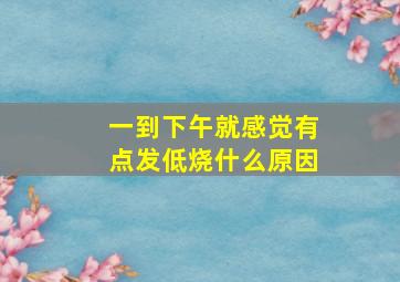 一到下午就感觉有点发低烧什么原因