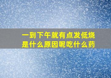 一到下午就有点发低烧是什么原因呢吃什么药