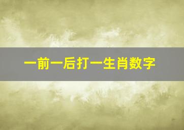 一前一后打一生肖数字