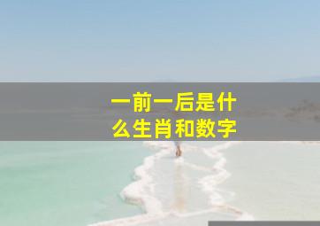 一前一后是什么生肖和数字