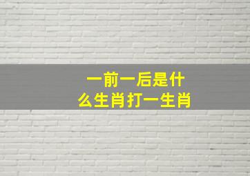 一前一后是什么生肖打一生肖