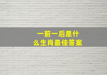 一前一后是什么生肖最佳答案