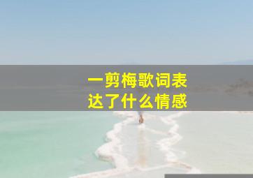 一剪梅歌词表达了什么情感