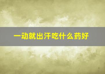 一动就出汗吃什么药好