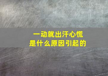 一动就出汗心慌是什么原因引起的