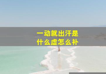 一动就出汗是什么虚怎么补