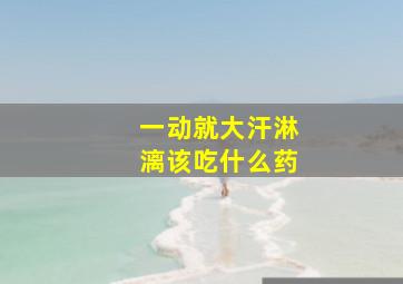 一动就大汗淋漓该吃什么药