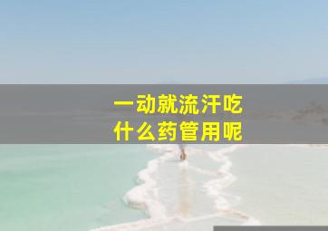 一动就流汗吃什么药管用呢