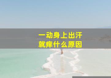 一动身上出汗就痒什么原因