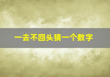 一去不回头猜一个数字