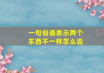 一句俗语表示两个东西不一样怎么说